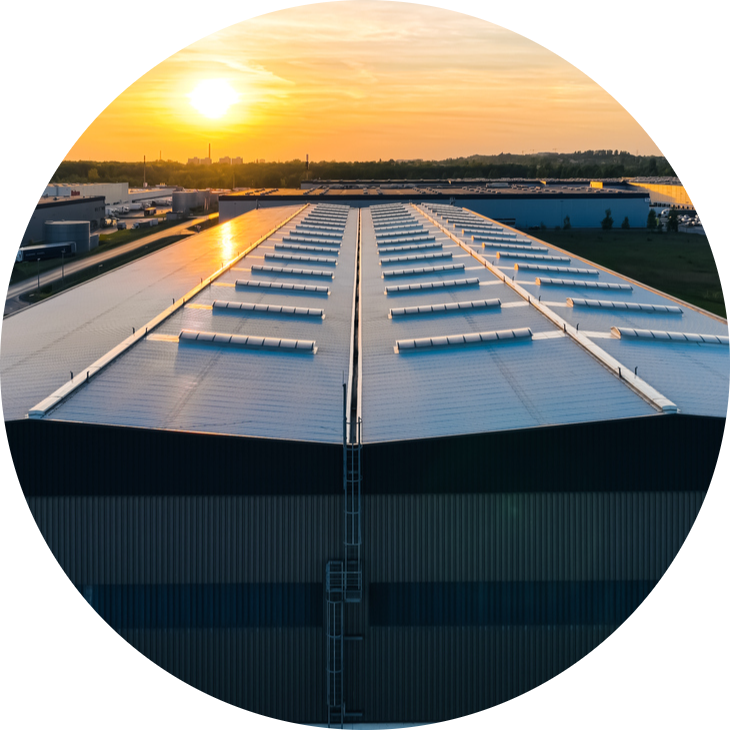 Overview and key findings