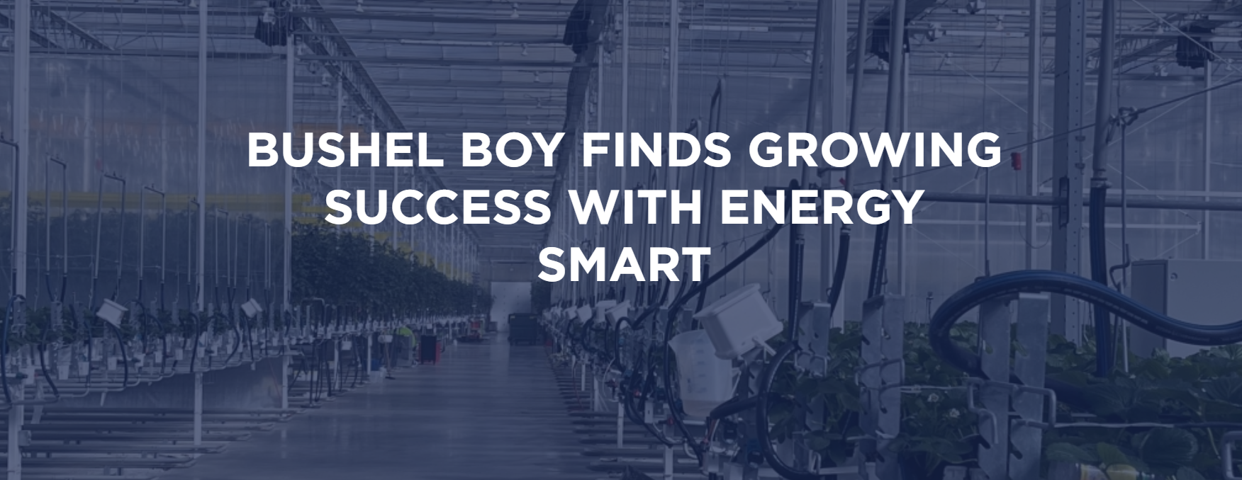 Bushel Boy Finds Growing Success Energy Smart